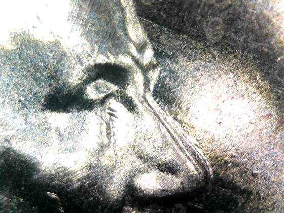 2018-D-LMC-BU-From-Roll-Feeder-Finger-Marks-To-The-Face.